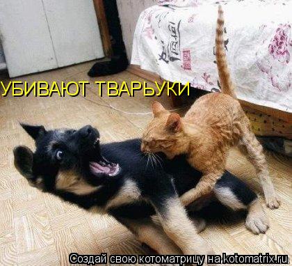 Котоматрица: УБИВАЮТ ТВАРЬУКИ