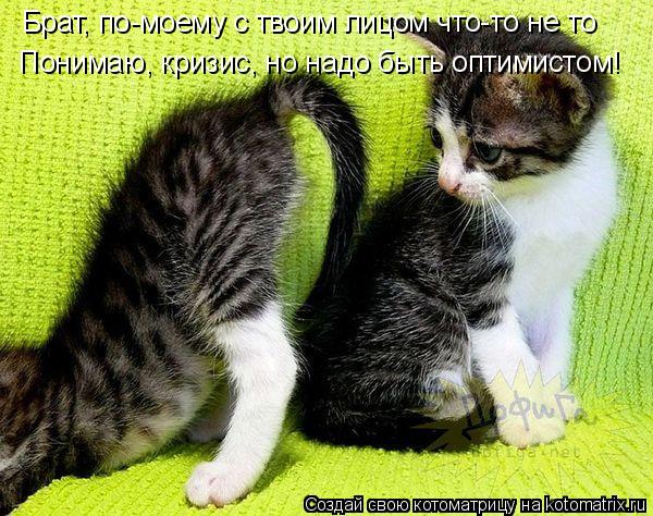 Котоматрица: Понимаю, кризис, но надо быть оптимистом! Брат, по-моему с твоим лицом что-то не то