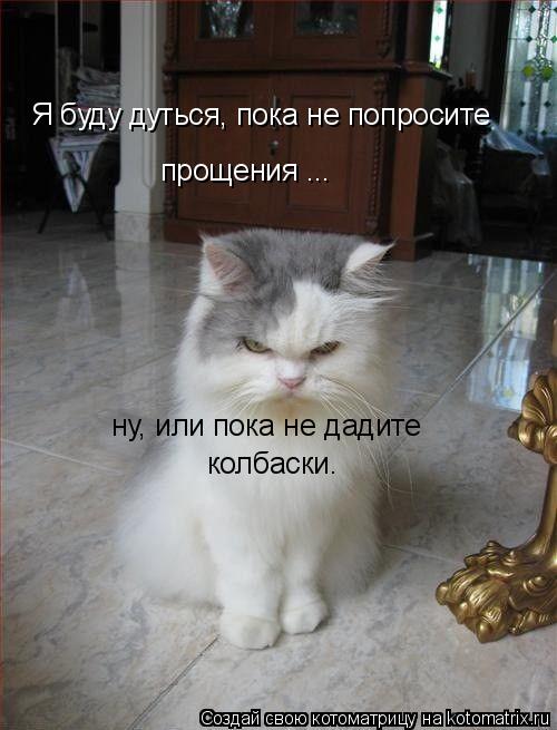 Я буду дуться, пока не попросите прощения ... колбаски. ну, или пока не дадите... Котоматрица: Я буду дуться, пока не попросите прощения ... колбаски. ну, или пока не дадите