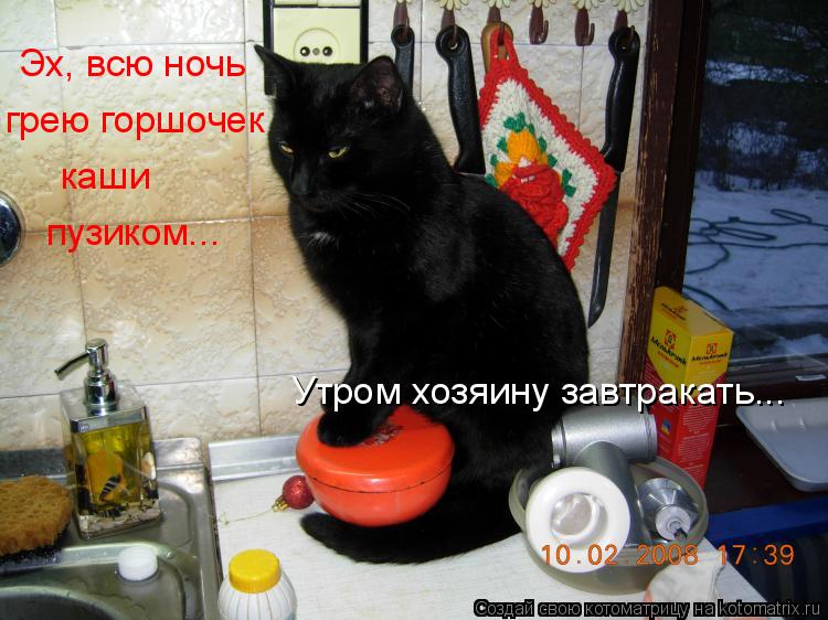 Котоматрица: Эх, всю ночь  грею горшочек  каши пузиком... Утром хозяину завтракать...