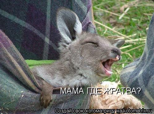 Котоматрица: МАМА ГДЕ ЖРАТВА?