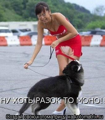 Котоматрица: НУ ХОТЬ РАЗОК ТО МОНО!!!