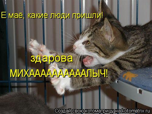 Е маё, какие люди пришли! МИХААААААААААЛЫЧ! здарова... Котоматрица: Е маё, какие люди пришли! МИХААААААААААЛЫЧ! здарова