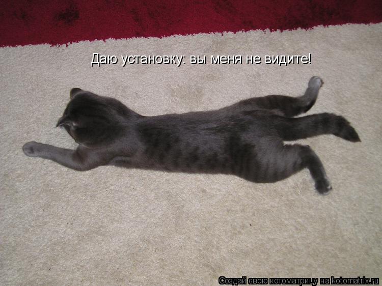 Котоматрица: Даю установку: вы меня не видите!