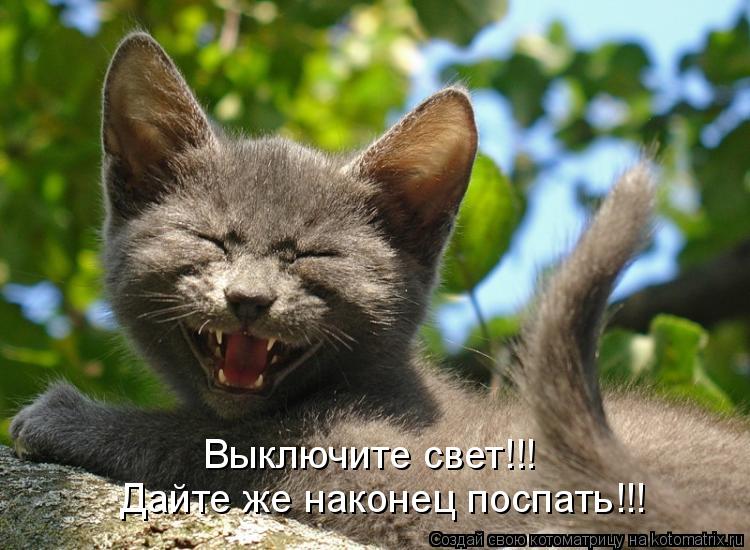Выключите свет!!! Дайте же наконец поспать!!!... Котоматрица: Выключите свет!!! Дайте же наконец поспать!!!