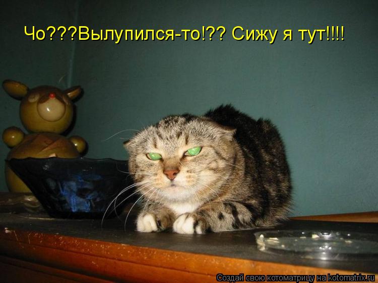 Котоматрица: Чо???Вылупился-то!?? Сижу я тут!!!!
