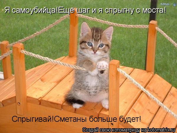 Котоматрица: Я самоубийца!Ещё шаг и я спрыгну с моста! Спрыгивай!Сметаны больше будет!