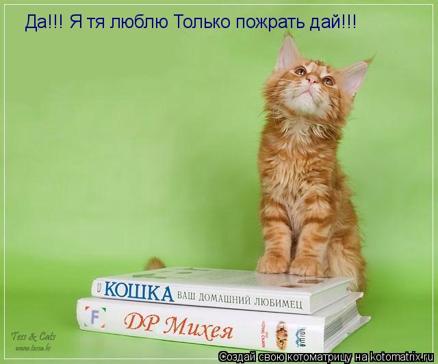 Котоматрица: Да!!! Я тя люблю Только пожрать дай!!!