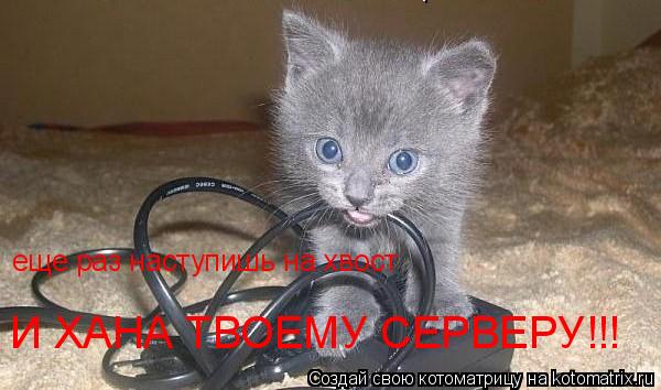 Котоматрица: еще раз наступишь на хвост И ХАНА ТВОЕМУ СЕРВЕРУ!!!