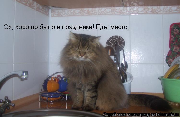 Котоматрица: Эх, хорошо было в праздники! Еды много...