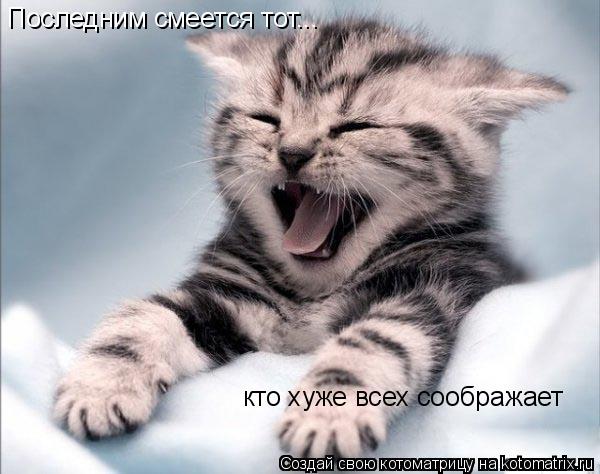 Котоматрица: Последним смеется тот...  кто хуже всех соображает
