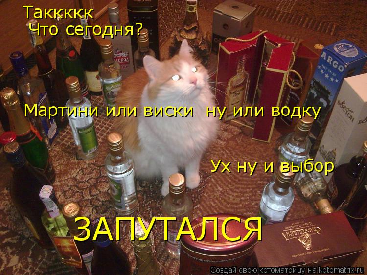 Котоматрица: Таккккк Что сегодня? Ух ну и выбор Мартини или виски  ну или водку ЗАПУТАЛСЯ