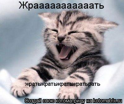 Жрааааааааааать жратьжратьжратьжратьрать... Котоматрица: Жрааааааааааать жратьжратьжратьжратьрать