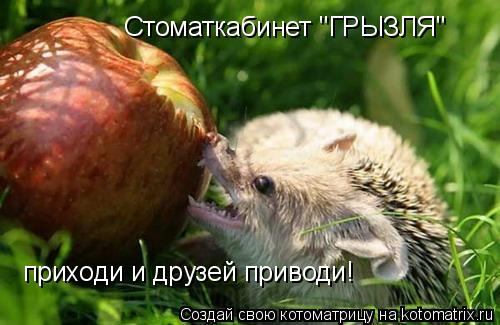 Стоматкабинет "ГРЫЗЛЯ" приходи и друзей приводи!... Котоматрица: Стоматкабинет "ГРЫЗЛЯ" приходи и друзей приводи!