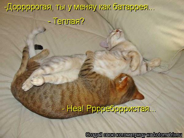 -Доррррогая, ты у меняу как батаррея... - Теплая? - Неа! Рррребррристая...... Котоматрица: -Доррррогая, ты у меняу как батаррея... - Теплая? - Неа! Рррребррристая...