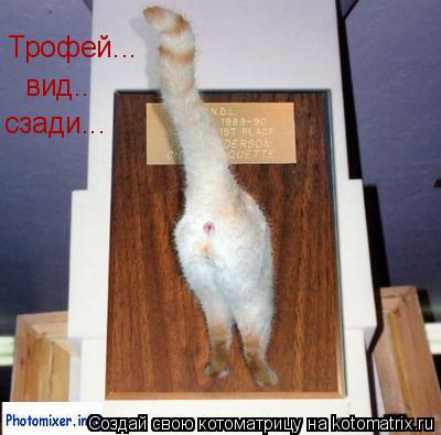 Котоматрица: Трофей... вид.. сзади...