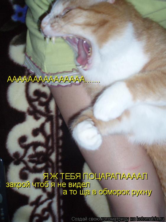 ААААААААААААААА....... Я Ж ТЕБЯ ПОЦАРАПААААЛ закрой чтоб я не видел а то ща в обморок рухну... Котоматрица: ААААААААААААААА....... Я Ж ТЕБЯ ПОЦАРАПААААЛ закрой чтоб я не видел а то ща в обморок рухну