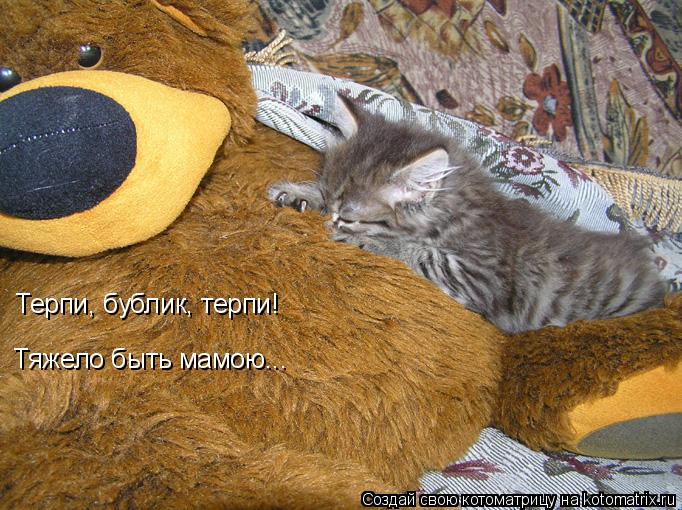 Терпи, бублик, терпи! Тяжело быть мамою...... Котоматрица: Терпи, бублик, терпи! Тяжело быть мамою...