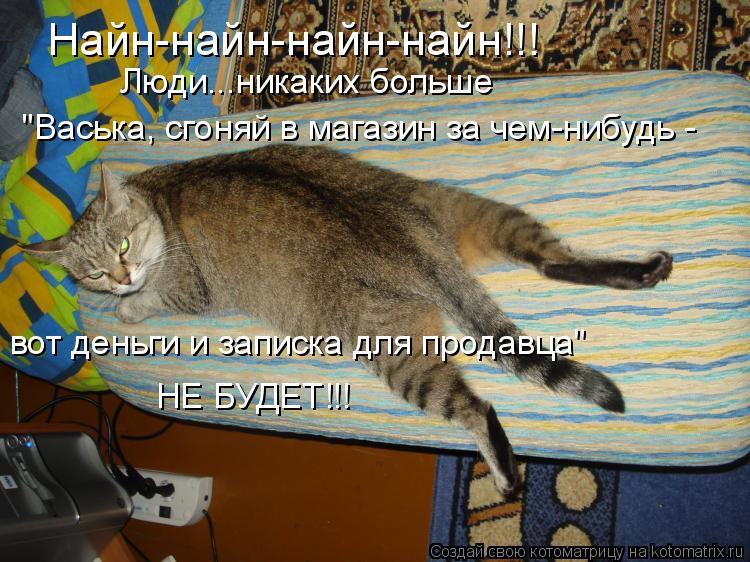 Найн-найн-найн-найн!!! Люди...никаких больше "Васька, сгоняй в магазин за чем-нибудь - вот деньги и ... Котоматрица: Найн-найн-найн-найн!!! Люди...никаких больше "Васька, сгоняй в магазин за чем-нибудь - вот деньги и записка для продавца" НЕ БУДЕТ!!!