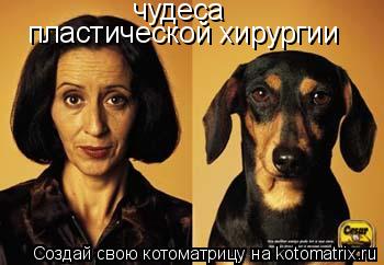 чудеса пластической хирургии... Котоматрица: чудеса пластической хирургии