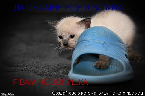 Я ВАМ НЕ ЗОЛУШКА ДА ОНА МНЕ ЕЩЕ И ВИЛИКА... Котоматрица: Я ВАМ НЕ ЗОЛУШКА ДА ОНА МНЕ ЕЩЕ И ВИЛИКА