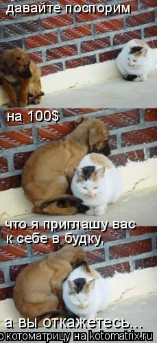Котоматрица: а вы откажетесь... что я приглашу вас  к себе в будку, давайте поспорим на 100$