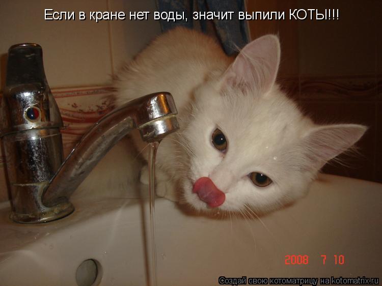 Если в кране нет воды, значит выпили КОТЫ!!!... Котоматрица: Если в кране нет воды, значит выпили КОТЫ!!!