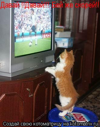 Котоматрица: Давай !!Давай!!! Бей же скорей!!!