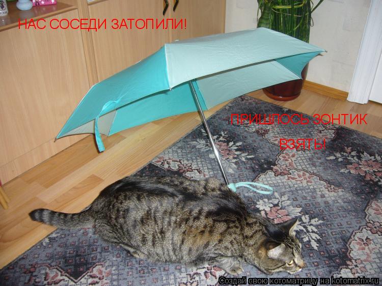 НАС СОСЕДИ ЗАТОПИЛИ! ПРИШЛОСЬ ЗОНТИК ВЗЯТЬ!... Котоматрица: НАС СОСЕДИ ЗАТОПИЛИ! ПРИШЛОСЬ ЗОНТИК ВЗЯТЬ!