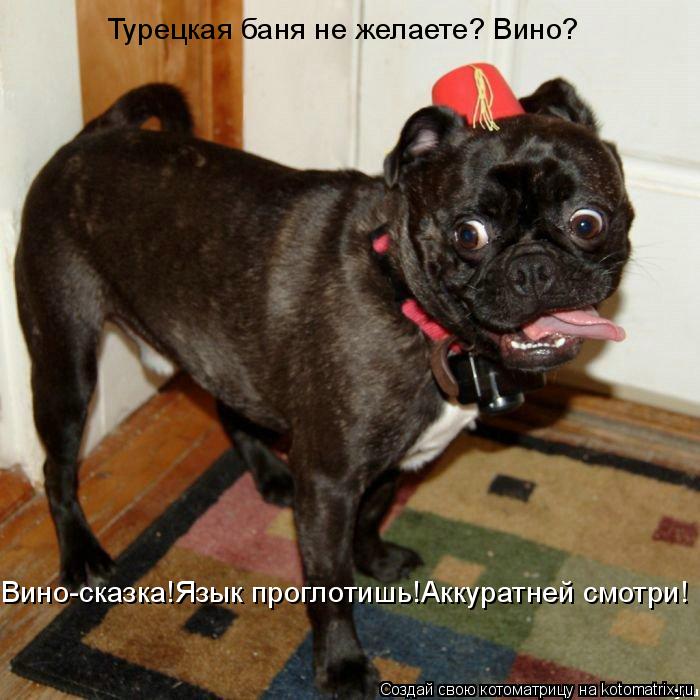 Котоматрица: Турецкая баня не желаете? Вино? Вино-сказка!Язык проглотишь!Аккуратней смотри!
