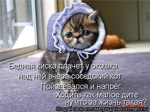 Котоматрица: Бедная киска плачет у окошка над ней вчера соседский кот Пойздевался и напрёг Ходить как малое дите ну что за жизнь такая?