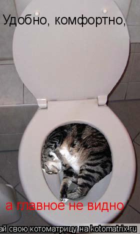 Удобно, комфортно, а главное не видно... Котоматрица: Удобно, комфортно, а главное не видно