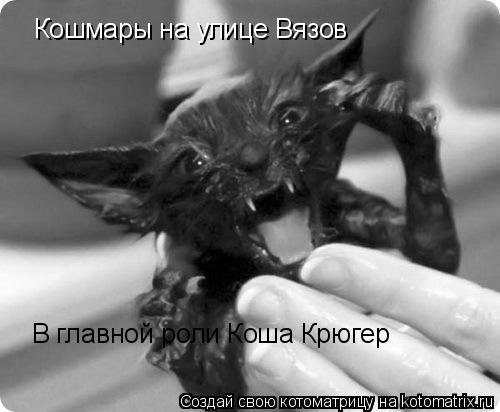 Кошмары на улице Вязов В главной роли Коша Крюгер... Котоматрица: Кошмары на улице Вязов В главной роли Коша Крюгер