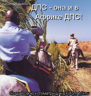 Котоматрица: ДПС - она и в  Африке ДПС!