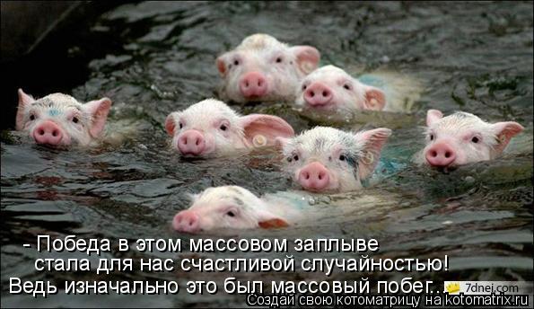 - Победа в этом массовом заплыве стала для нас счастливой случайностью! Ведь изначально это был массо... Котоматрица: - Победа в этом массовом заплыве стала для нас счастливой случайностью! Ведь изначально это был массовый побег...