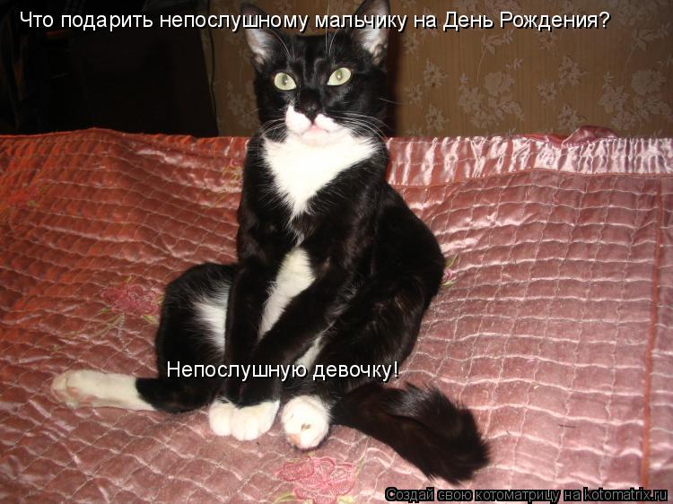 Котоматрица: Что подарить непослушному мальчику на День Рождения? Непослушную девочку!