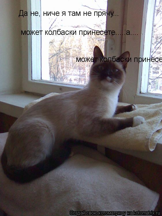 Да не, ниче я там не прячу... может колбаски принесете.....а.... может колбаски принесете.....а....... Котоматрица: Да не, ниче я там не прячу... может колбаски принесете.....а.... может колбаски принесете.....а....