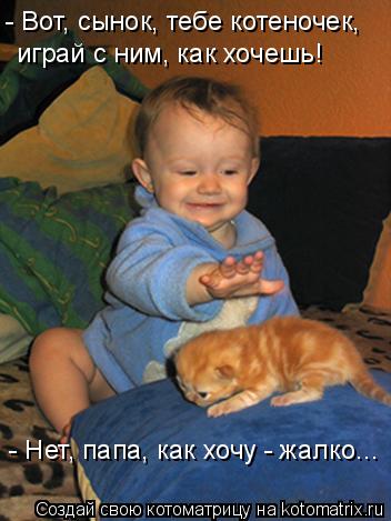 Котоматрица: - Вот, сынок, тебе котеночек,  играй с ним, как хочешь! - Нет, папа, как хочу - жалко...