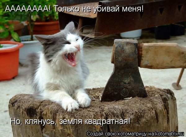 АААААААА! Только не убивай меня! Но, клянусь, земля квадратная!... Котоматрица: АААААААА! Только не убивай меня! Но, клянусь, земля квадратная!