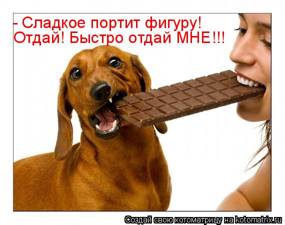 - Сладкое портит фигуру! Отдай! Быстро отдай МНЕ!!!... Котоматрица: - Сладкое портит фигуру! Отдай! Быстро отдай МНЕ!!!