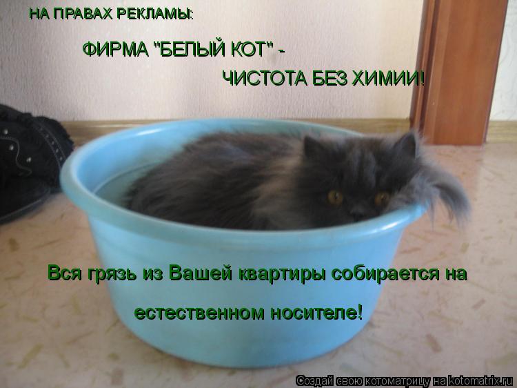 Котоматрица: НА ПРАВАХ РЕКЛАМЫ: естественном носителе! Вся грязь из Вашей квартиры собирается на ФИРМА "БЕЛЫЙ КОТ" - ЧИСТОТА БЕЗ ХИМИИ!