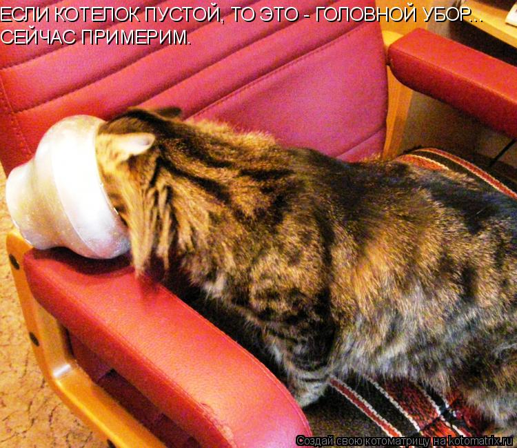 ЕСЛИ КОТЕЛОК ПУСТОЙ, ТО ЭТО - ГОЛОВНОЙ УБОР... СЕЙЧАС ПРИМЕРИМ.... Котоматрица: ЕСЛИ КОТЕЛОК ПУСТОЙ, ТО ЭТО - ГОЛОВНОЙ УБОР... СЕЙЧАС ПРИМЕРИМ.