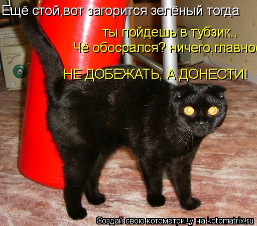 Котоматрица: Ещё стой,вот загорится зелёный тогда  ты пойдешь в тубзик.. Чё обосрался? ничего,главное  НЕ ДОБЕЖАТЬ, А ДОНЕСТИ!