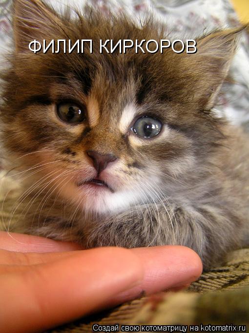 ФИЛИП КИРКОРОВ... Котоматрица: ФИЛИП КИРКОРОВ