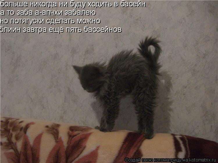 больше никогда ни буду ходить в басейн а то заба а-апчхи забалею но потягуски сделать можно блиин за... Котоматрица: больше никогда ни буду ходить в басейн а то заба а-апчхи забалею но потягуски сделать можно блиин завтра ещё пять бассейнов