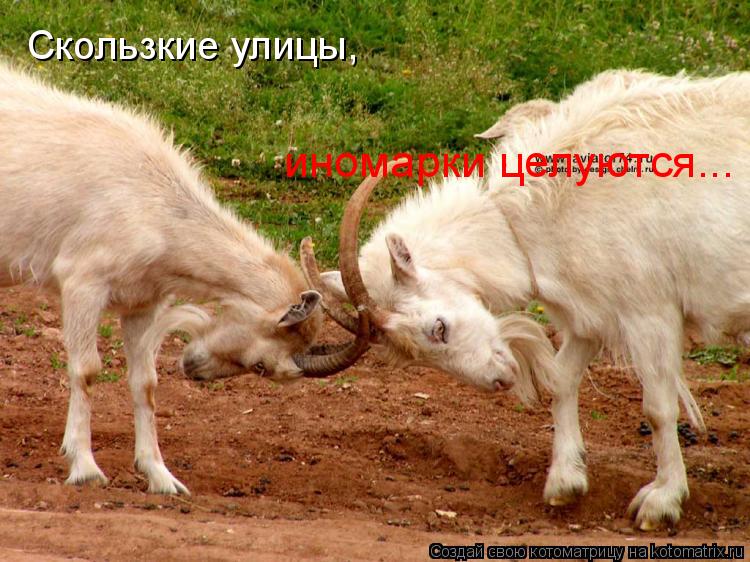 Скользкие улицы, иномарки целуются...... Котоматрица: Скользкие улицы, иномарки целуются...