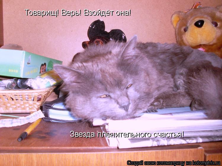 Товарищ! Верь! Взойдёт она! Звезда пленительного счастья!... Котоматрица: Товарищ! Верь! Взойдёт она! Звезда пленительного счастья!