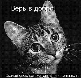 Верь в добро!... Котоматрица: Верь в добро!