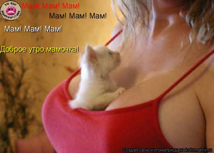 Котоматрица: Мам! Мам! Мам! Мам! Мам! Мам! Мам! Мам! Мам! Доброе утро,мамочка!