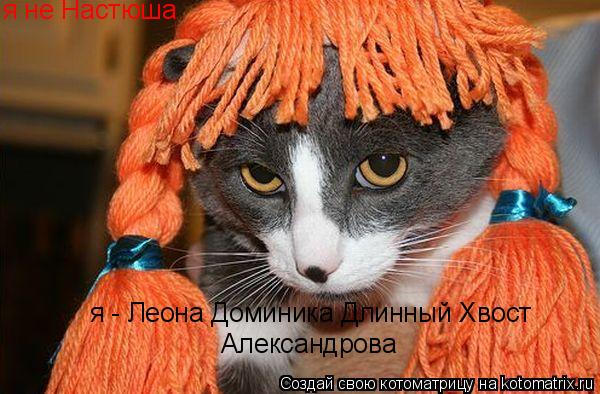 я не Настюша я - Леона Доминика Длинный Хвост Александрова... Котоматрица: я не Настюша я - Леона Доминика Длинный Хвост Александрова